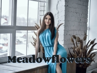 Meadowflowers
