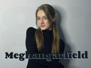 Meghangarfield