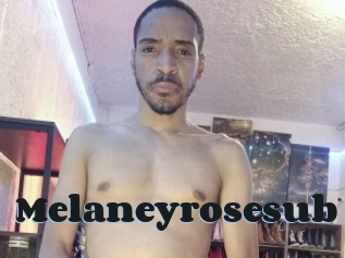 Melaneyrosesub