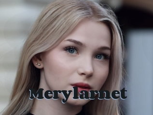 Merylarnet