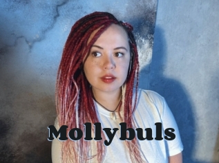 Mollybuls