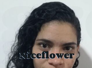 Nice_flower