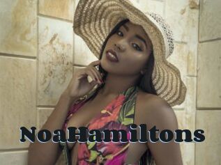 NoaHamiltons