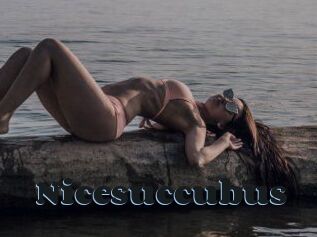 Nicesuccubus