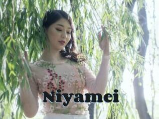 Niyamei