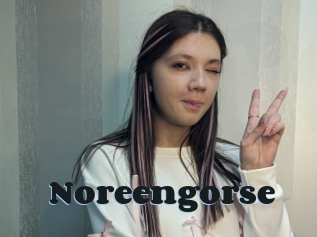 Noreengorse