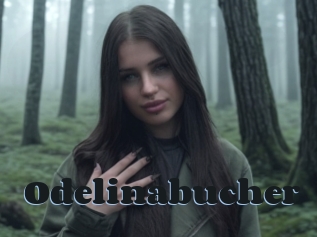Odelinabucher