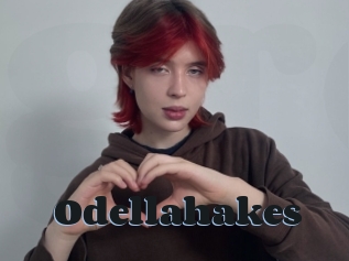 Odellahakes