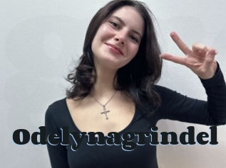 Odelynagrindel
