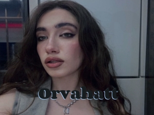 Orvahatt