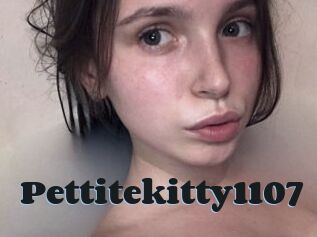 Pettitekitty1107