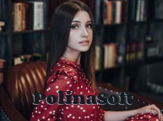 PolinaSoft