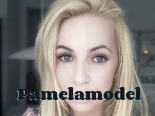 Pamelamodel