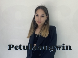 Petulaangwin