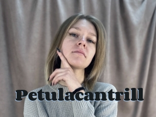 Petulacantrill
