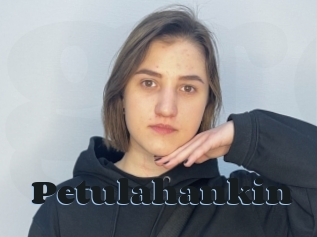 Petulahankin