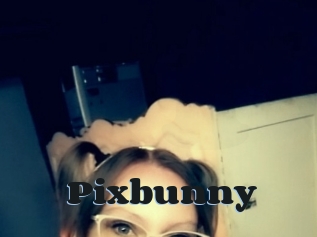 Pixbunny