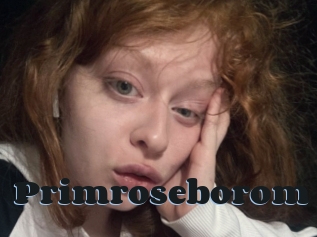 Primroseborom