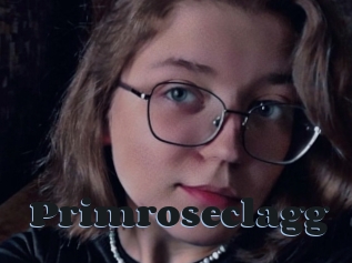 Primroseclagg