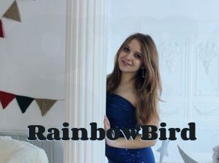 RainbowBird