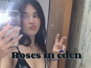 Roses_in_eden