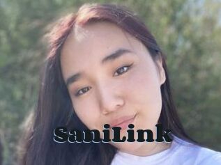 SaniLink