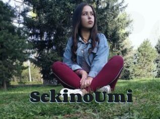 SekinoUmi