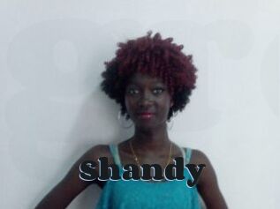 Shandy