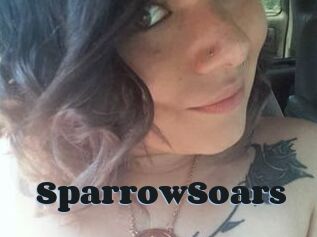 SparrowSoars
