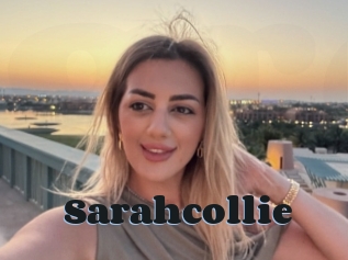 Sarahcollie