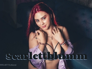 Scarlettblumm