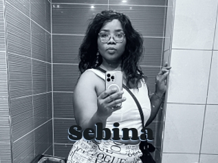 Sebina