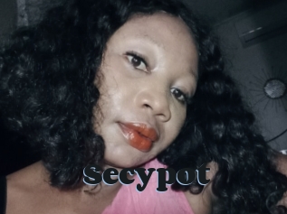 Secypot