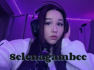 Selenagambee
