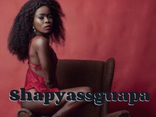 Shapyassguapa
