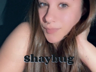 Shaybug