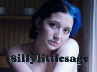 Sillylittlesage