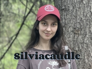 Silviacaudle