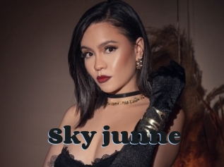 Sky_junne
