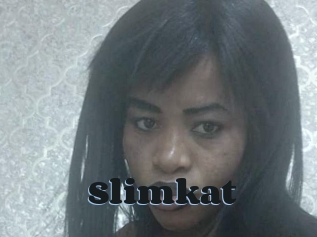 Slimkat