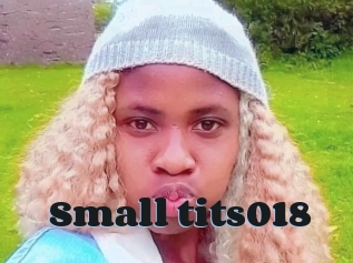 Small_tits018