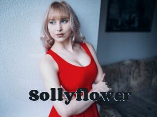 Sollyflower