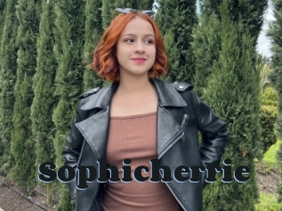 Sophicherrie