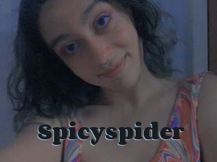 Spicyspider