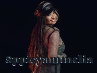 Sppicyammelia