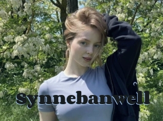 Synnebanwell