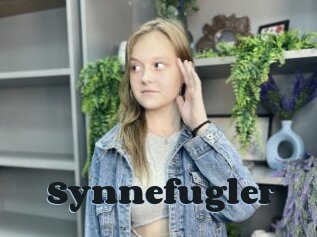 Synnefugler