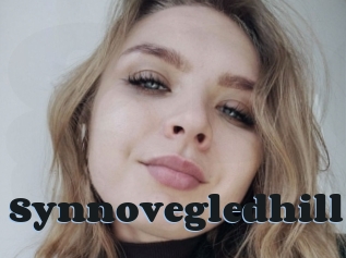 Synnovegledhill