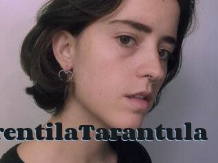 TerentilaTarantula