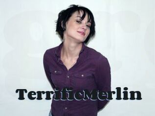 TerrificMerlin
